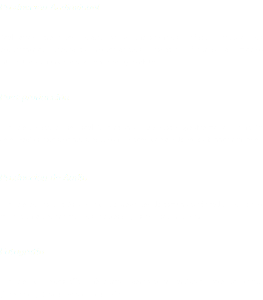 Producción Audiovisual Realizamos proyectos televisivos y audiovisuales, videos institucionales, documentales, videoclips, cortometrajes, proyectos digitales en medios interactivos (transmedia y crossmedia), web tv. Post producción Servicio de edición no lineal, Animación 2D-3D, stop y graphic motion, visual fx, colorización, rotoscoping, subtítulos de videos, doblaje de voces, banner animados. Producción de Audio Servicio de producción y edición de proyectos de comunicación radial, perifoneo, radio dramas, cuñas radiales, locutores, jingles, spots radiales. Fotografía Servicio de fotografía publicitaria, corporativa, artística, retoque digital (fotomontaje), ampliación e impresión.