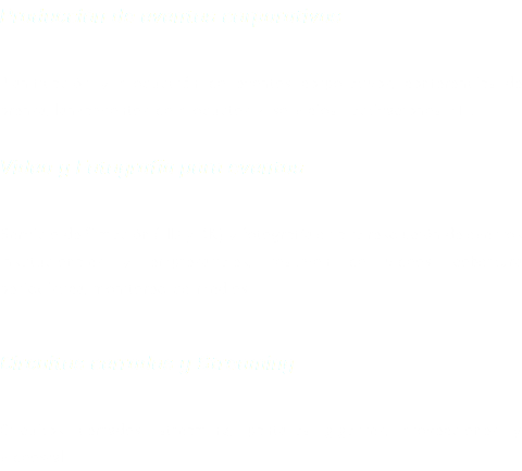 Producción de eventos corporativos Planificación y producción de eventos corporativos, conferencias de prensa, lanzamientos de productos / servicios , activaciones BTL. Video y Fotografía para eventos Servicio de filmación (HD y 4K) y fotografía en alta resolución de eventos institucionales y empresariales, resumen de vídeos, cobertura periodística, monitoreo de medios. Circuitos cerrados y Streaming Circuitos cerrados, streaming, pantallas gigantes, proyecciones y videowall.